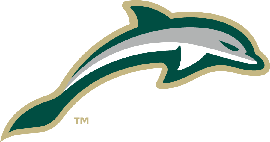 Jacksonville Dolphins 2018-Pres Secondary Logo v3 DIY iron on transfer (heat transfer)